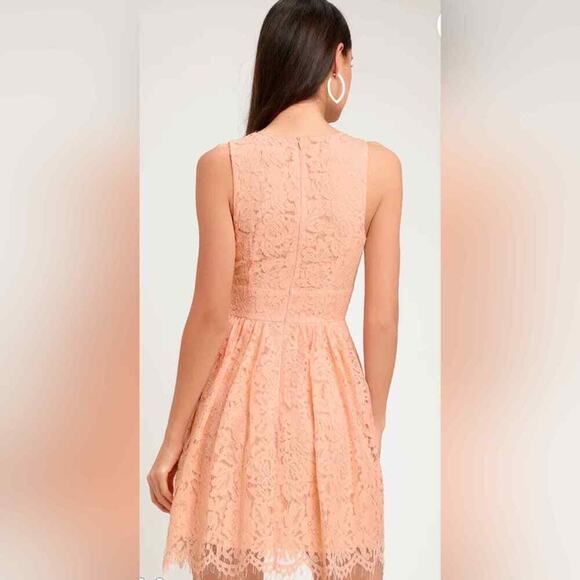 Lulu's NEW In This Moment Blush Pink Eyelash Lace Sleeveless Skater Mini Dress S - Picture 7 of 9